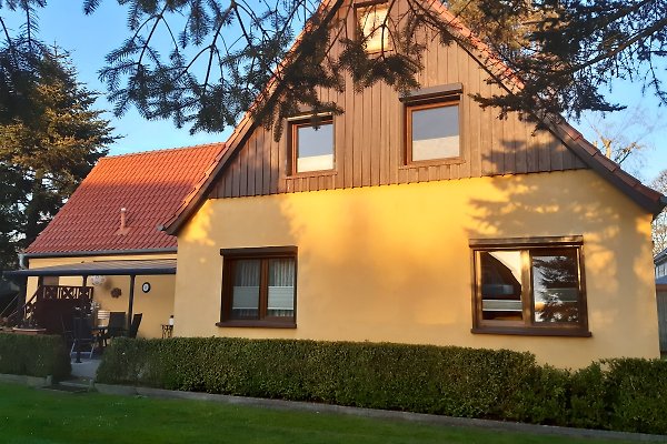 Ferienwohnung Born