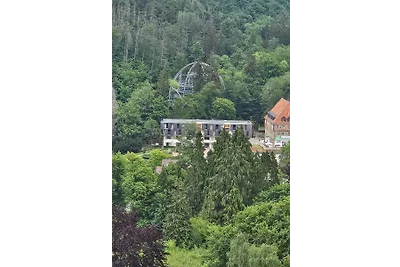 Harzer Traumblick mit Schwimmbad