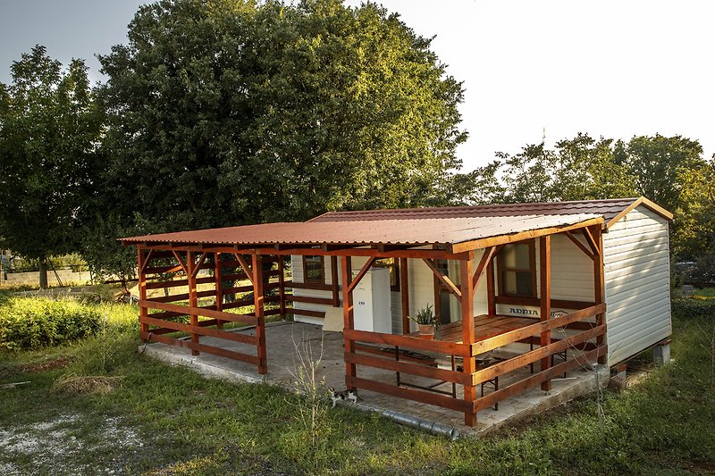 Gemütliches Holzhaus im Grünen mit Garten und schöner Landschaft.