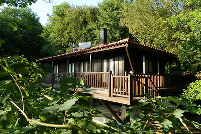 Tree Pool Villa