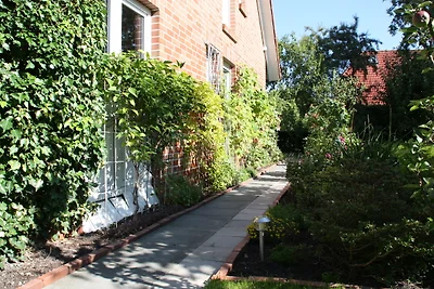 Groene voortuin met haag, bomen en een goed onderhouden gazon. Groene voortuin met haag, bomen en een goed onderhouden gazon.