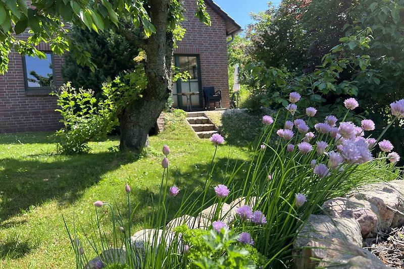 Blick vom Garten zur Westterrasse