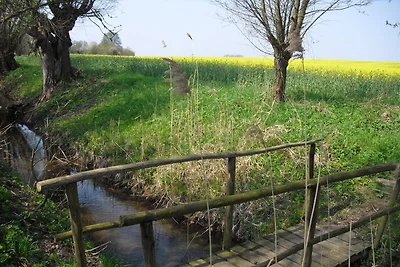 casa a 4 stelle Kornblume - Lago 150 m