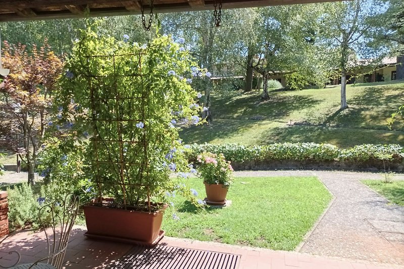 Patio en privétuin met een kleine vijver en een verscheidenheid aan planten, waaronder bloemen en struiken, omgeven door een houten hek.