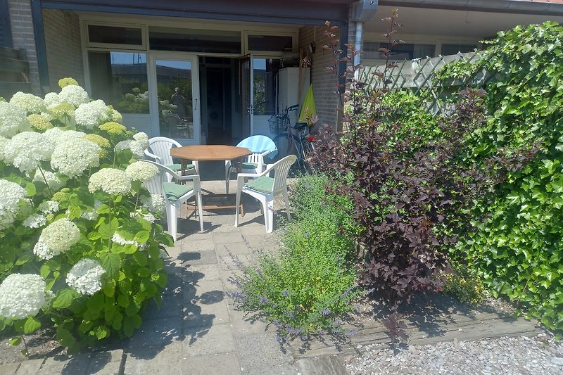 Blühender Garten mit Sträuchern, Blumen und gepflegtem Rasen.