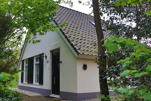 Vakantieappartement IJhorst