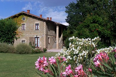 Agriturismo I MORI GELSI - Fattoria Spinola