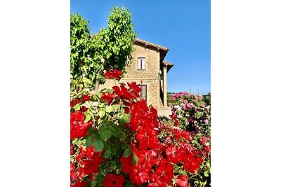 Agriturismo I MORI GELSI - Fattoria Spinola