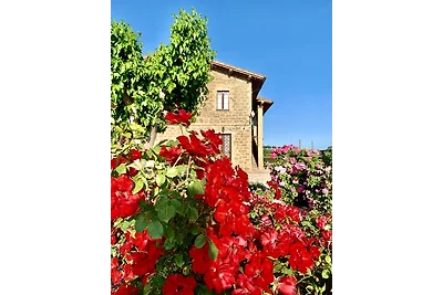 I MORI GELSI - Fattoria Spinola