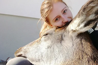 Kleintierhof Seidl-eder