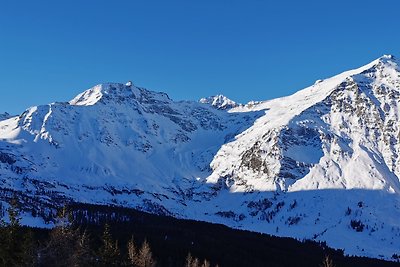 Kleintierhof Seidl-eder