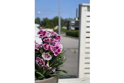 Sommarhuset Västervik