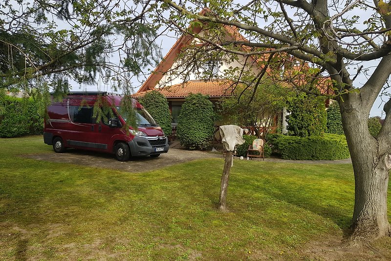 Gepflegter Garten mit Auto und Van, umgeben von üppigem Grün.