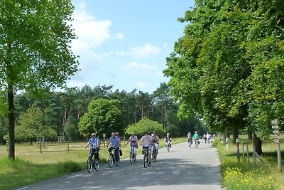 Ferienwohnungen Flachshof Nettetal