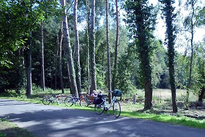 Ferienwohnungen Flachshof Nettetal