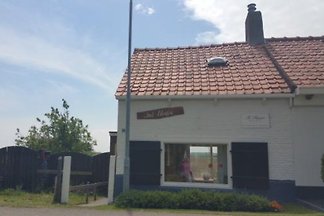 ZE492 - Ferienhaus im Kamperland