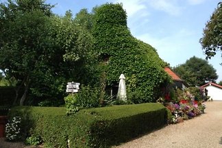 VZ037 - Ferienhaus im Koudekerke-Dishoek