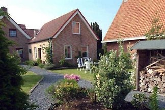 VZ021 - Ferienhaus im Groede