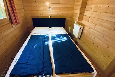 VZ852 Ferienhütte in Ossenisse