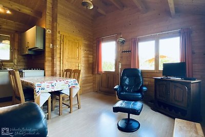 VZ851 Ferienhütte in Ossenisse
