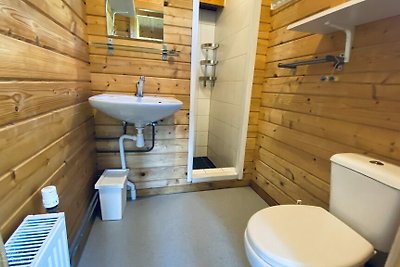 VZ852 Ferienhütte in Ossenisse