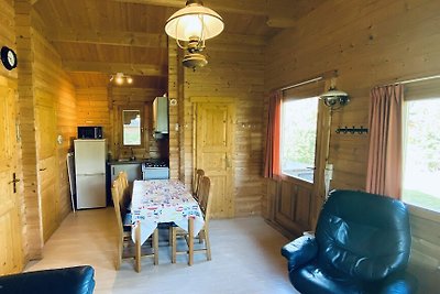 VZ851 Ferienhütte in Ossenisse