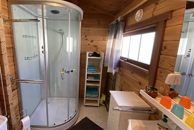 VZ810 Ferienchalet Sint-Annaland