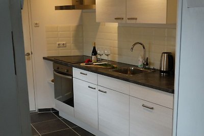 VZ885 Ferienhaus in Biervliet