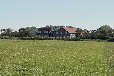 VZ471 Nagelneue Unterkunft Veere