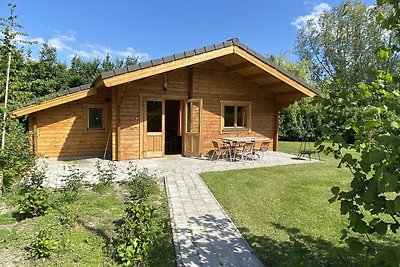 VZ455 Ferienhütte in Ossenisse