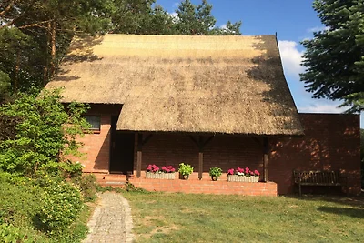 Ferienhaus Ückeritz