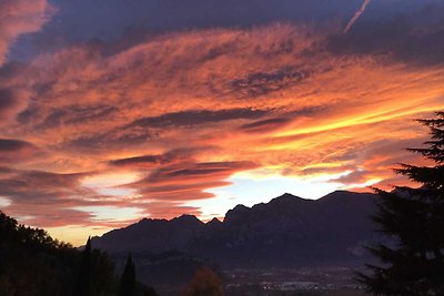 Romantico Panorama