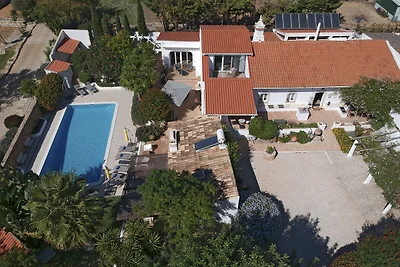 Casa Palmeira