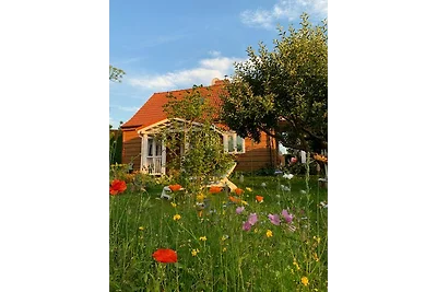 Storchenwiese, Haus in der Natur