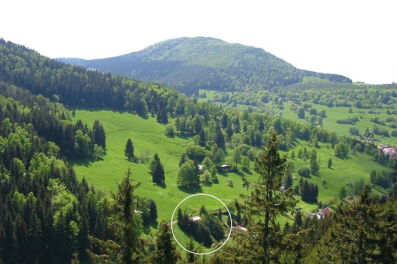 Mitten im Grünen: Ferienhauses vom Katzenstein aus gesehen