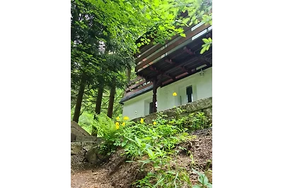 Ferienhaus Katzenstein