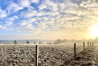 FEWO-Hagemeister in Schwerin