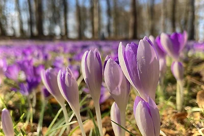 FEWO-Hagemeister in Schwerin