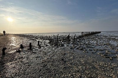 Deichwärts Carolinensiel