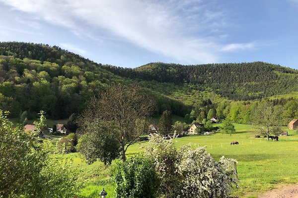 Ferienhaus Windstein