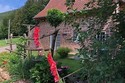 Charmantes Haus mit blühendem Garten, Bäumen und blauen Himmel. Charmantes Haus mit blühendem Garten, Bäumen und blauen Himmel.