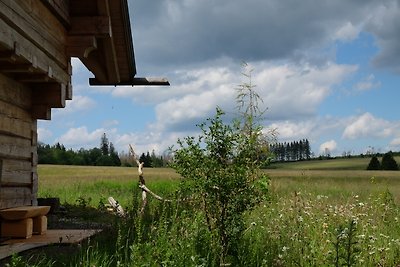 die ausspanne - Hinterhaus