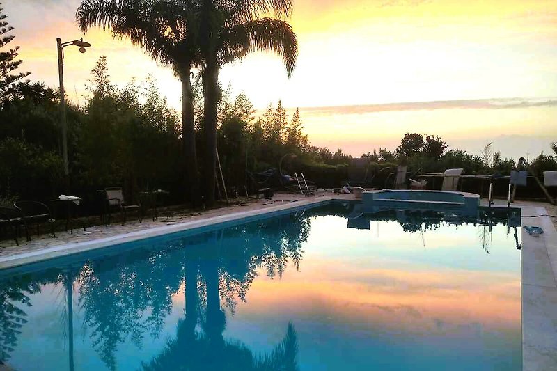 Privater Pool bei Sonnenaufgang, Palmen und ruhigem Wasser.