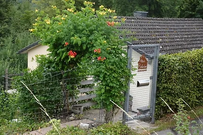 Ferienhaus Belvedere am See in Holzerath im Hochwald, nähe Trier