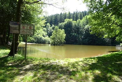 Ferienhaus Belvedere am See in Holzerath im Hochwald, nähe Trier