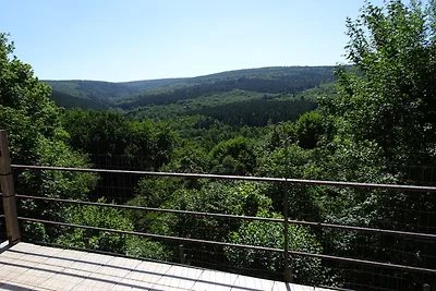 Ferienhaus Belvedere am See in Holzerath im Hochwald, nähe Trier