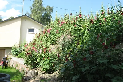 Ferienhaus Belvedere am See in Holzerath im Hochwald, nähe Trier