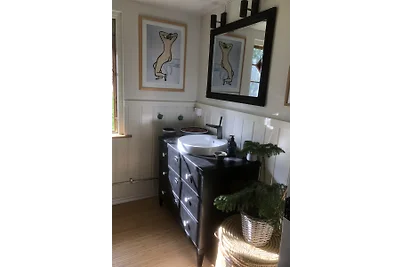 Ferienhaus Alerås