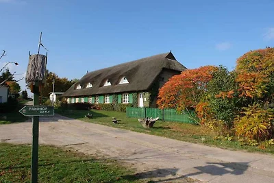 Wohnung 'RostRot'
