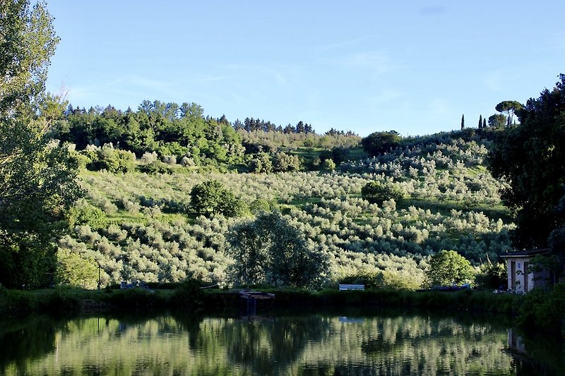 Bergsee mit Wald, Wiesen und klarer Spiegelung im Wasser.